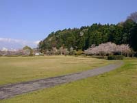 千波公園芝生