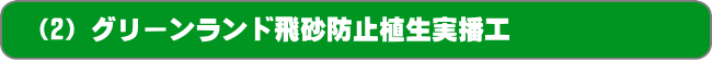 （2）グリーンランド飛砂防止植生実播工