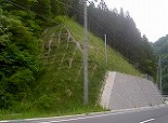 PICT2698